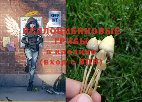 мдпв Остров