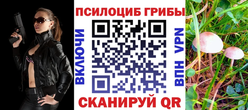 наркота  Отрадное  Галлюциногенные грибы прущие грибы 